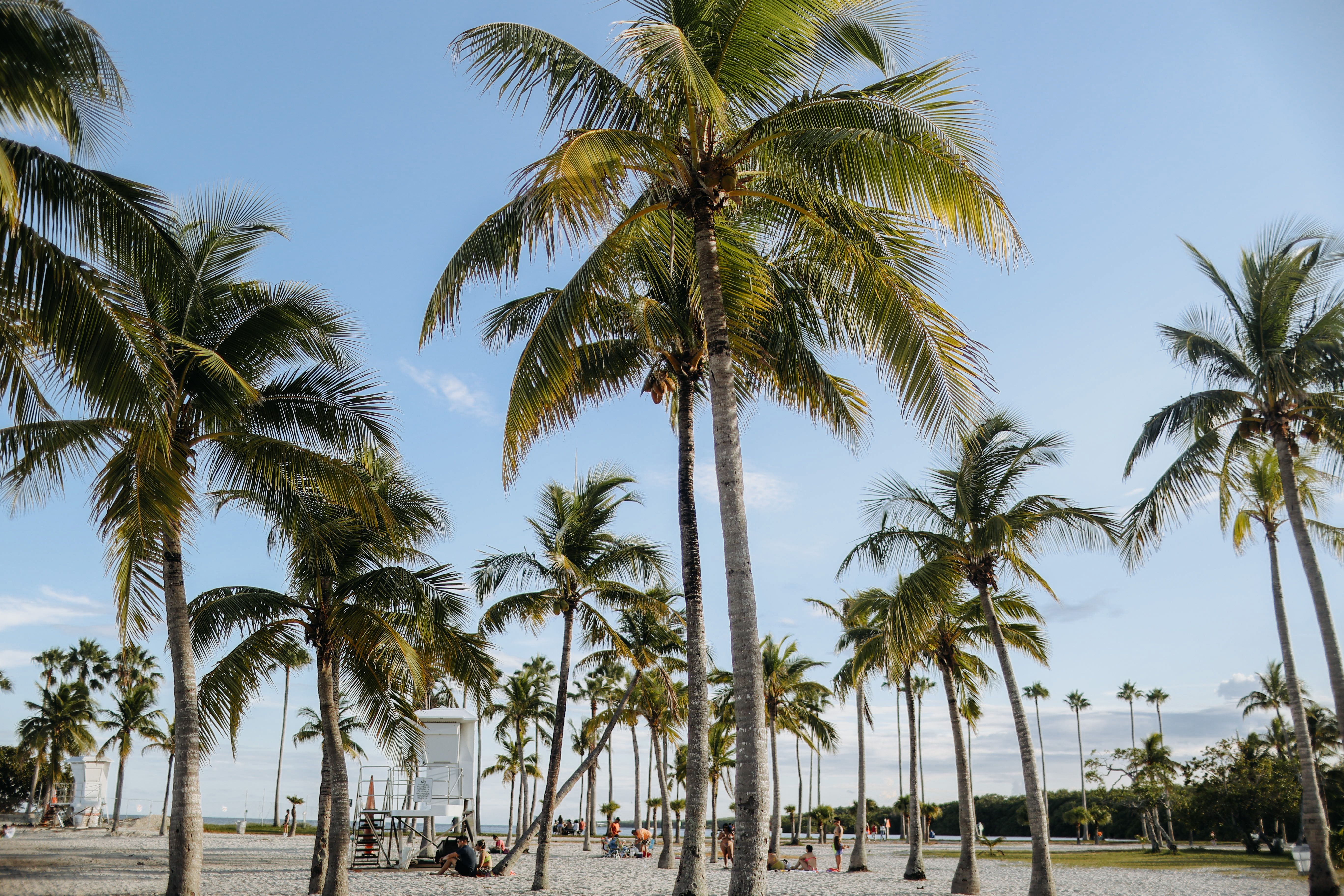 Houses for rent in Miami, FL